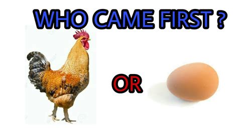 the chicken or the egg youtube.